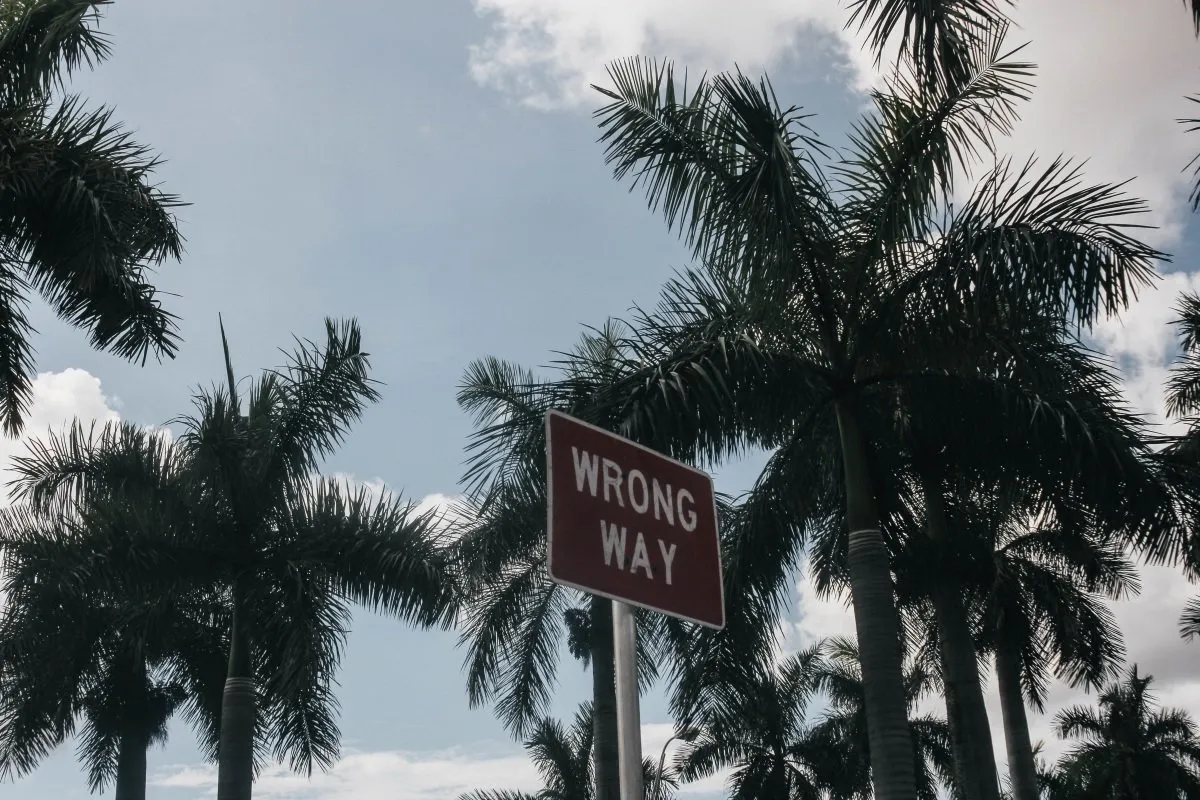 A "WRONG WAY" street sign in front of palm trees