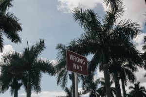 A "WRONG WAY" street sign in front of palm trees